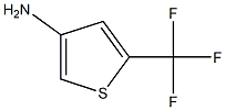 5-Trifluoromethyl-thiophen-3-ylamine 구조식 이미지