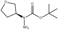 (S)-tert-butyl 1-(tetrahydrofuran-3-yl)hydrazinecarboxylate Structure