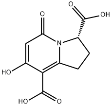 7-Hydroxy-5-Oxo-1,2,3,5-Tetrahydroindolizine-3,8-Dicarboxylic Acid 구조식 이미지