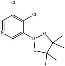 3,4-Dichloropyridine-5-boronic acid pinacol ester 구조식 이미지