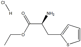 Ethyl (S)-a-amino-2-thiophenepropanoate HCl Structure