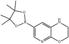 7-(4,4,5,5-Tetramethyl-[1,3,2]dioxaborolan-2-yl)-2,3-dihydro-1H-pyrido[2,3-b][1,4]oxazine 구조식 이미지