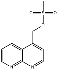 (1,8-naphthyridin-4-yl)methyl methanesulfonate 구조식 이미지