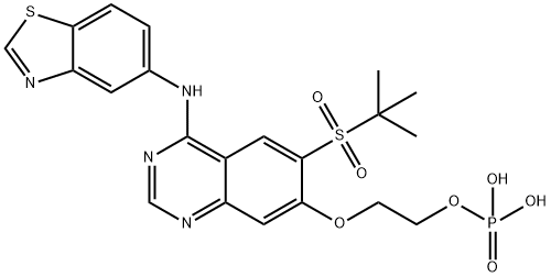 1579965-12-0 2-((4-(benzo[d]thiazol-5-ylamino)-6-(tert-butylsulfonyl)quinazolin-7-yl)oxy)ethyl dihydrogen phosphate
