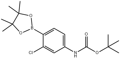 2-Chloro-4-(BOC-amino)phenylboronic acid, pinacol ester Structure