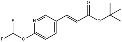(E)-Tert-Butyl 3-(6-(Difluoromethoxy)Pyridin-3-Yl)Acrylate 구조식 이미지