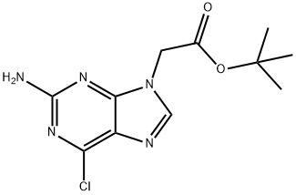tert-butyl 2-(2-amino-6-chloro-9H-purin-9-yl)acetate 구조식 이미지