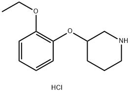 3-(2-ethoxyphenoxy)piperidinehydrochloride Structure