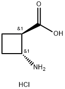 trans-2-aminocyclobutane-1-carboxylic acid hydrochloride 구조식 이미지