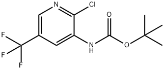 tert-butyl 2-chloro-5-(trifluoromethyl)pyridin-3-ylcarbamate 구조식 이미지