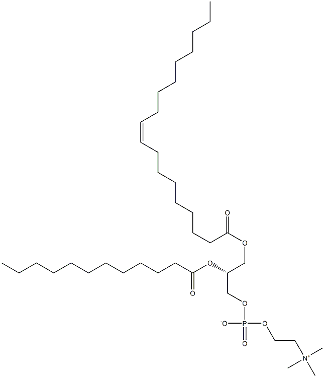 1-oleoyl-2-lauroyl -sn-glycero-3-phosphocholine 구조식 이미지