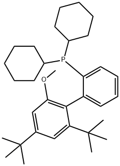 [2',4'-Bis(1,1-dimethylethyl)-6'-methoxy[1,1'-biphenyl]-2-yl]dicyclohexylphosphine 구조식 이미지