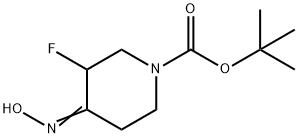 tert-butyl 3-fluoro-4-(hydroxyimino)piperidine-1-carboxylate 구조식 이미지