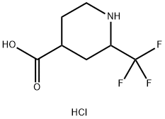 2007919-93-7 2-(trifluoromethyl)piperidine-4-carboxylic acid hydrochloride