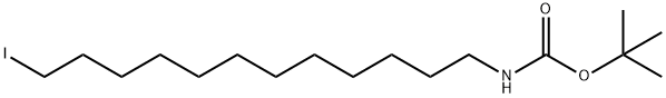12-(Boc-amino)-1-dodecyl iodine 구조식 이미지
