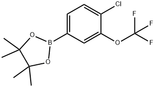 4-Chloro-3-(trifluoromethoxy)phenylboronic acid pinacol ester 구조식 이미지