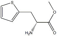 METHYL (2R)-2-AMINO-3-(THIOPHEN-2-YL)PROPANOATE 구조식 이미지