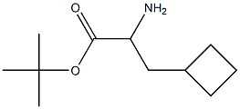 tert-butyl 2-amino-3-cyclobutylpropanoate 구조식 이미지