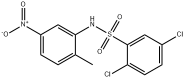 2,5-dichloro-N-(2-methyl-5-nitrophenyl)benzenesulfonamide Structure