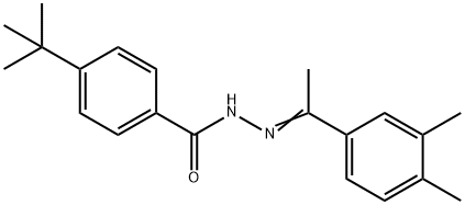 4-tert-butyl-N'-[(1Z)-1-(3,4-dimethylphenyl)ethylidene]benzohydrazide 구조식 이미지