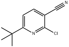 6-(tert-butyl)-2-chloronicotinonitrile 구조식 이미지