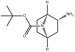 1,1-Dimethylethyl (1S,2R,4R)-2-amino-7-azabicyclo[2.2.1]heptane-7-carboxylate 구조식 이미지