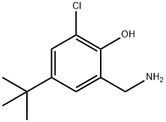 2-(aminomethyl)-4-tert-butyl-6-chlorophenol 구조식 이미지