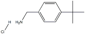 4-(tert-Butyl)benzylamine Hydrochloride 구조식 이미지