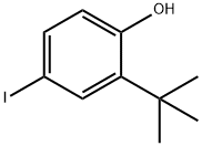 2-tert-butyl-4-iodophenol 구조식 이미지