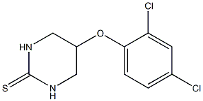 5-(2,4-Dichlorophenoxy)tetrahydro-2(1H)-pyrimidinethione Structure