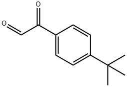 2-(4-tert-butylphenyl)-2-oxoacetaldehyde Structure