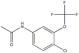 N-(4-Chloro-3-(trifluoromethoxy)phenyl)acetamide Structure