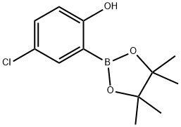 4-chloro-2-(4,4,5,5-tetramethyl-1,3,2-dioxaborolan-2-yl)phenol Structure