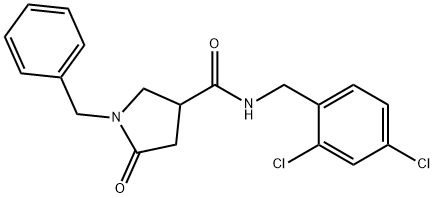 N-(2,4-dichlorobenzyl)-1-benzyl-5-oxopyrrolidine-3-carboxamide Structure