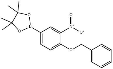 [2-nitro-4-(4,4,5,5-tetramethyl-[1,3,2]dioxaborolan-2-yl)-phenyl]-carbamic acid tert-butyl ester 구조식 이미지