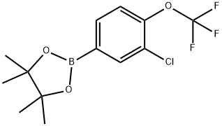 2-(2-chloro-3-(trifluoromethoxy)phenyl)-4,4,5,5-tetramethyl-1,3,2-dioxaborolane Structure