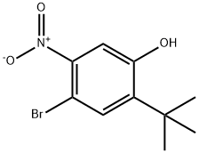 2-tert-butyl-4-bromo-5-nitrophenol 구조식 이미지
