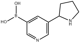 5-(pyrrolidin-2-yl)pyridin-3-ylboronic acid hydrochloride Structure