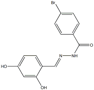 4-bromo-N'-(2,4-dihydroxybenzylidene)benzohydrazide 구조식 이미지