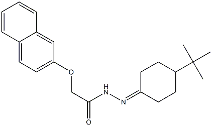 N'-(4-(tert-butyl)cyclohexylidene)-2-(naphthalen-2-yloxy)acetohydrazide 구조식 이미지