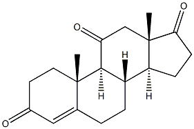 Androst-4-ene-3,11,17-trione 구조식 이미지