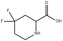 4,4-difluoropiperidine-2-carboxylic acid Structure