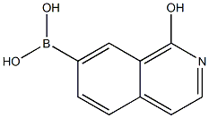 1-Hydroxyisoquinoline-7-boronic acid Structure