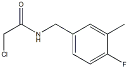 2-chloro-N-[(4-fluoro-3-methylphenyl)methyl]acetamide 구조식 이미지