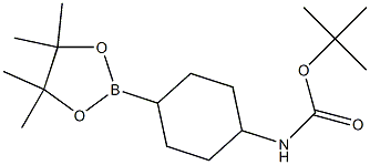 TERT-BUTYL N-[4-(TETRAMETHYL-1,3,2-DIOXABOROLAN-2-YL)CYCLOHEXYL]CARBAMATE Structure