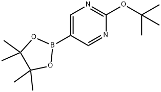 2-tert-butoxy-pyrimidine-5-boronic acid pinacol ester 구조식 이미지