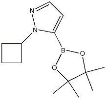 1-cyclobutyl-5-(tetramethyl-1,3,2-dioxaborolan-2-yl)-1H-pyrazole Structure