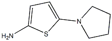 5-(pyrrolidin-1-yl)thiophen-2-amine 구조식 이미지