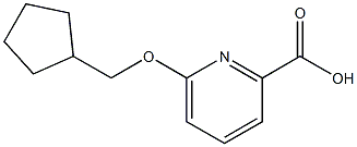 6-(cyclopentylmethoxy)picolinic acid 구조식 이미지