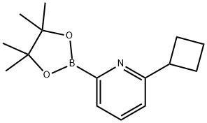 2-cyclobutyl-6-(4,4,5,5-tetramethyl-1,3,2-dioxaborolan-2-yl)pyridine Structure